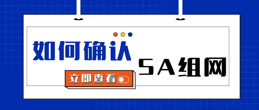 如何确认手机连接的是SA组网？