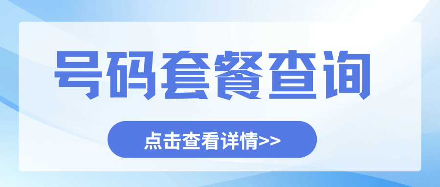 激活后如何查询本机号码和套餐详情？
